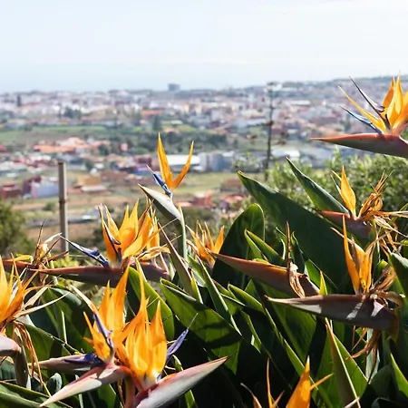 Live Casita Vieja Ferienhaus San Cristóbal de La Laguna