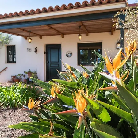 Live Casita Vieja Hébergement de vacances